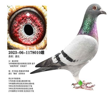 �Ǳȣ�������������x�����𻷸Ǳ�010