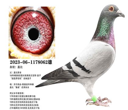 �Ǳȣ�������������x�����𻷸Ǳ�062