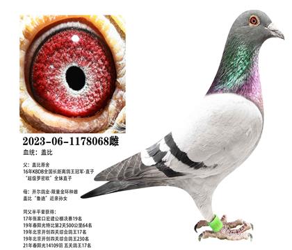 �Ǳȣ�������������x�����𻷸Ǳ�068