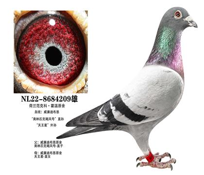 �����ϲ���������ƥ��쫷�ֱ��x������ֱŮ