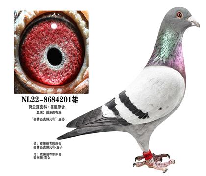 �����ϲ���������ƥ��쫷��ֱ��