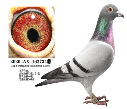 ���־������ܽ�ͷ��Ů