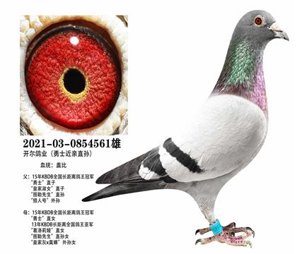 ������ҵ������ʿ��ֱ��xֱŮ