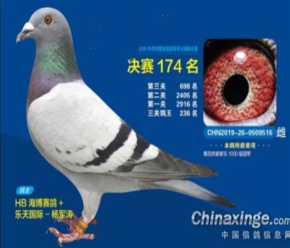 �������ܹ������174�����Ƹ�