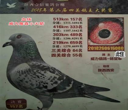 �����Ÿ��������Ҽ�۹������157�����Ƹ�