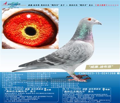 ����.�ϲ��� ����ƥ�ˡ�쫷�š�ֱ�� �� ����ƥ�ˡ�쫷�š�