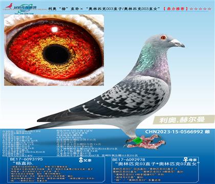 ���¡��ֱ���������ƥ��003ֱ��/����ƥ��003ֱŮ��