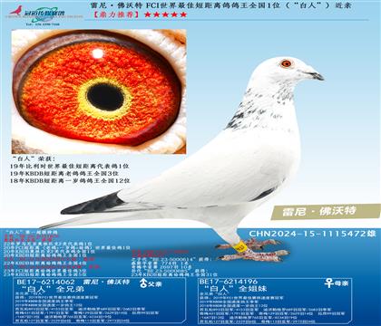 FCI������Ѷ̾�������ȫ��1λ�������ˡ�������