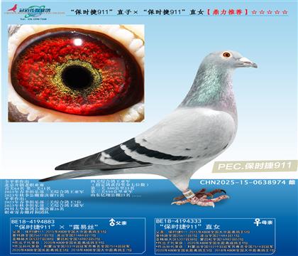 ����ʱ��911��ֱ�ӡ�����ʱ��911��ֱŮ