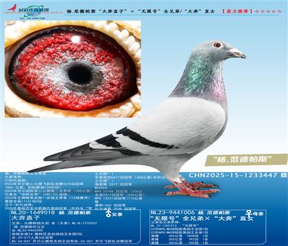 ��.������˹����ֱ�ӡ��������޺š�ȫ�ֵ�/���󱼡�ֱŮ