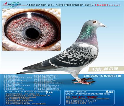 ������ƥ�����˹��ֱ�ӡ���003ֱ��/������/���۴ơ�������