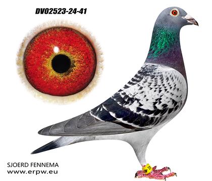 ����8��ȫ�á������������Ů41 ��