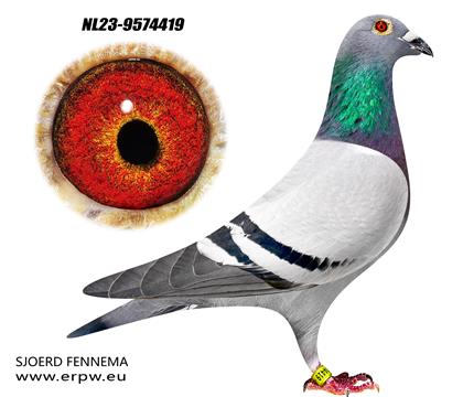 ���ݿ�5000���ػ�Ѫ419 ��