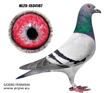 ���ض�ֱϵ167 ��