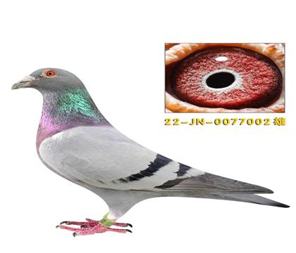 �� ������˹�󱼰��ֵ������޺�ͬ����ĸ��������002