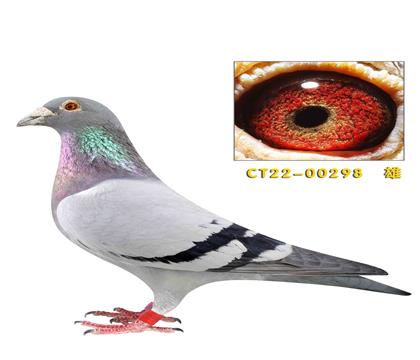 ˽�����������ҡ�û��֮��298