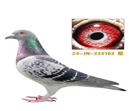 �����˹ ��ȫ�ֵ������ƥ��쫷��ֱ��Ů����103