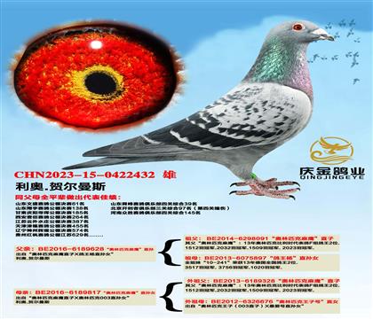 ������ƥ����ӥ��ֱ��x������ƥ����ӥ��ֱ��Ů