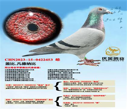 �Ǳ�.�����ɱȡ�³�ϡ�ֱ��x����������ŷ��ֱŮ