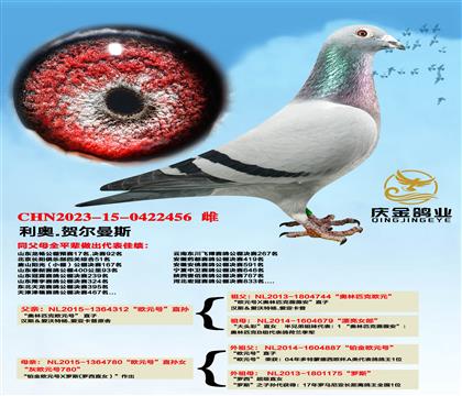 ����.�ն���˹��ŷԪ�š�ֱ��x��ŷԪ�š�ֱ��Ů