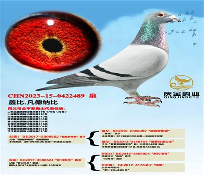 �Ǳ�.�����ɱȡ���������ŷ��ֱ��x��������š�ֱŮ