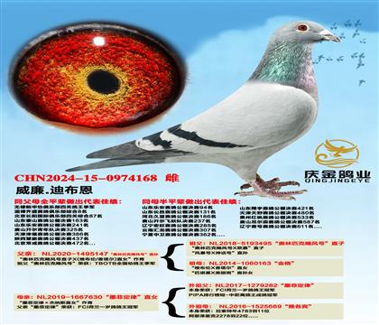 ����.�ϲ���������ƥ��쫷�š�ֱ��x��ī�ƶ��ɡ�ֱŮ