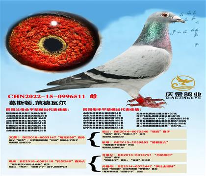 ��˹��.�����߶������098��ֱ��x���ж�240��ֱ��Ů