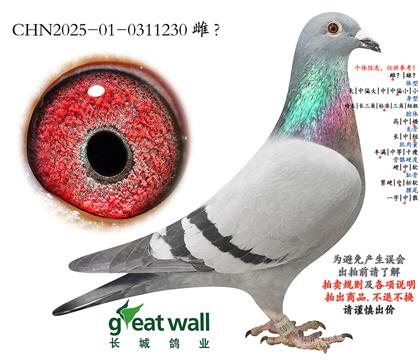 3.���ܸ��׵����.0311230