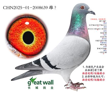 7.�ƽ�����xղ��˹801.2008639