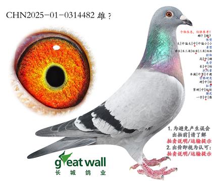 14.�¿��������.0314482