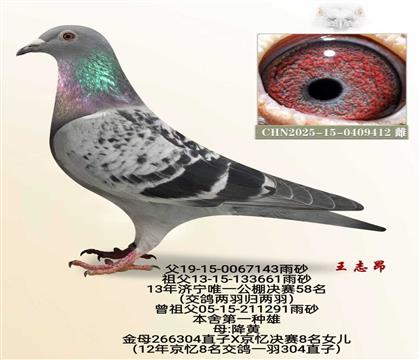 ��һ������X304��Ů