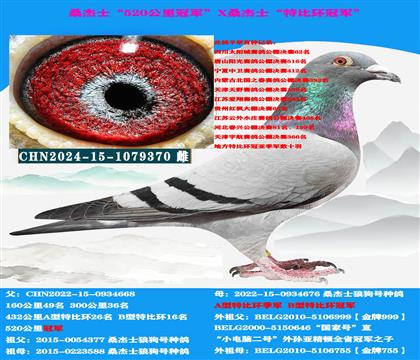 ��ɽ������ �Կ����ͣ���ɭ��˹ɣ��ʿ����������ָ�