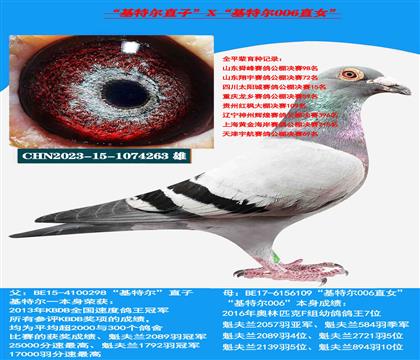 ���ǲ��ˡ����ض���ֱ��X�����ض�006��ȫ����