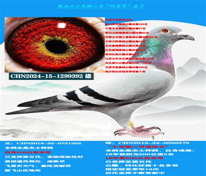 ��ɽ������ �Կ����ͣ��������� ɣ��ʿ˫�Ǿ� ������ѡ