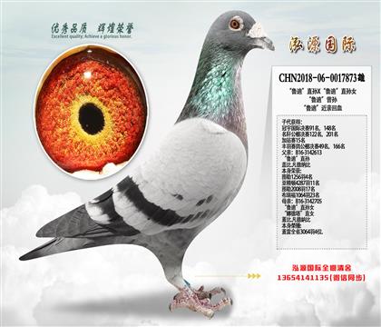 ��³�ϡ�ֱ��X��³�ϡ�ֱ��Ů