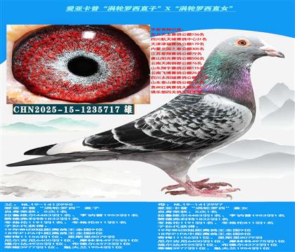 ���ص��Ƽ������ǿ��ա���������ֱ�ӡ�X����������ֱŮ��