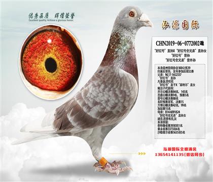 300����29 ���ú�š�ֱ��X���ú��ȫ�ֵܡ�ֱ��Ů