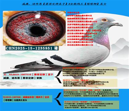 �����ϲ�����ī�ƶ��ɡ�ֱ��X�������ǡ�ֱŮ