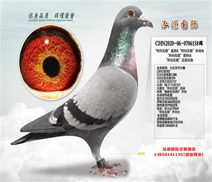 �������ظ���157 �������޵С�ֱ��X�������޵С�����Ů