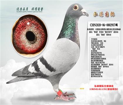 �Ǳȡ�³�ϡ�����X��������š�ֱ��Ů