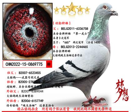 ���Ƽ���ɣ��ʿ��һ��ʿ����ѫ���ۡ�