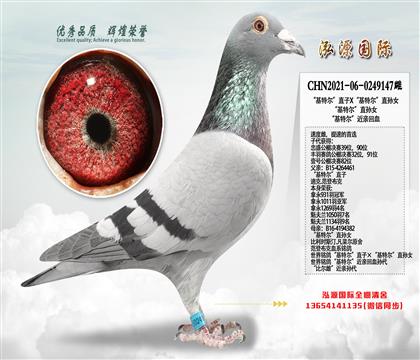 �����ض���ֱ��Ů �����λ������