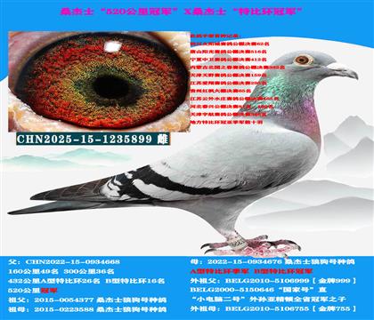 ��ɽ������ �Կ����ͣ�ɣ��ʿ˫�ھ�����