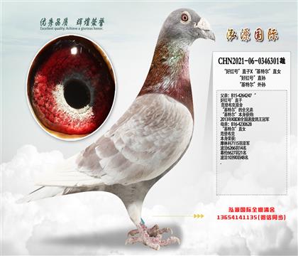 ���Ƽ������ú�š�ֱ��X�����ض���ֱŮ