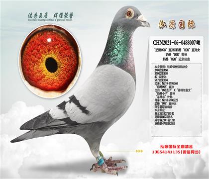 470����94 500����104 ����098���׻�Ѫ