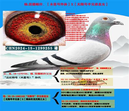 ������ר�ң������˹������غ����X�����޺Ű��ֵ�ֱŮ��