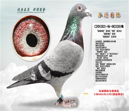 �������767 ������483��ֱ��X��483��ֱ��Ů