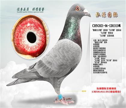 ��ղɭ�����ۡ�ֱ��X�������ۡ�ֱ��Ů