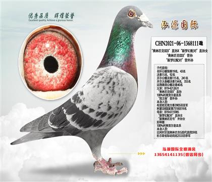 ��ǿ���Ƽ���������ƥ��003��ֱ��X�����λ���ԡ�ֱ��Ů