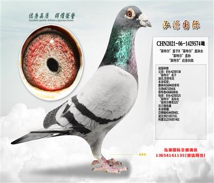 �������� �����ض���ֱ��X�����ض���ֱ��Ů